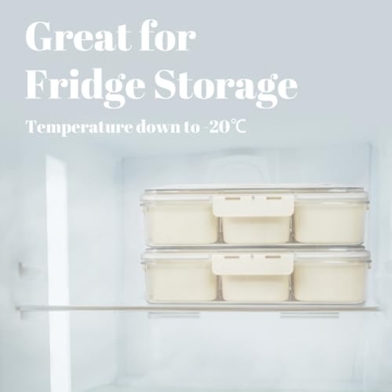 Large Snackle Box: Perfect Portable Snack Organizer