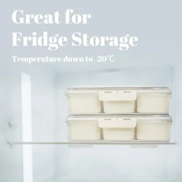 Large Snackle Box: Perfect Portable Snack Organizer