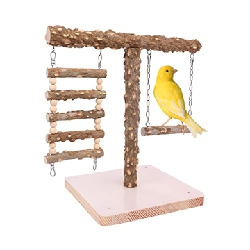 Natural Bird Perch Stand for Training & Play