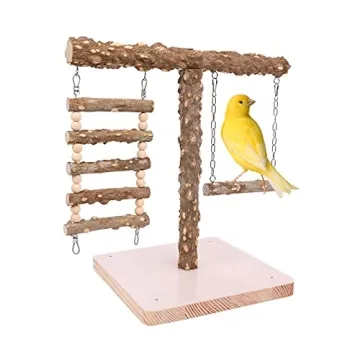 Natural Bird Perch Stand for Training & Play