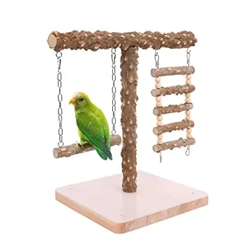 Natural Bird Perch Stand for Training & Play