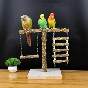 Natural Bird Perch Stand for Training & Play