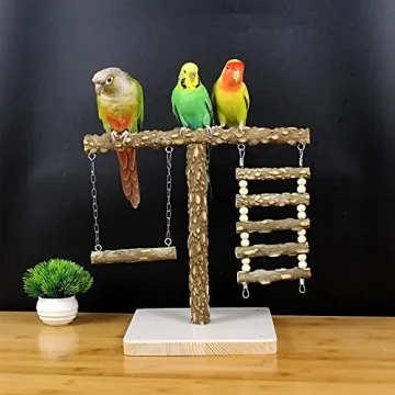 Natural Bird Perch Stand for Training & Play