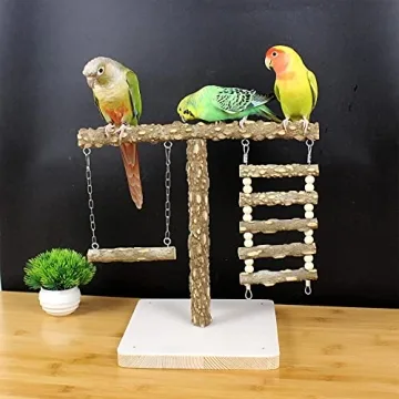 Natural Bird Perch Stand for Training & Play