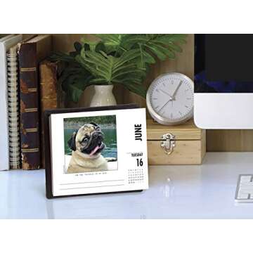 Doug the Pug 2020 Box Calendar (Dog Breed Calendar)