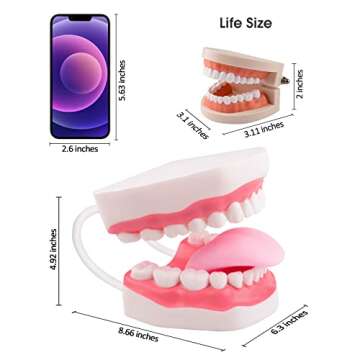 Ultrassist Mouth Model White Hinge for Speech Therapy, Ideal Brushing Teaching Dental Teeth Model for Kids and Children, 6 Times Enlarge, Includes Toothbrush