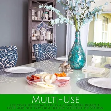 Plasticpro Sectional Serving Tray Pack of 2 for Entertaining