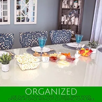 Plasticpro Sectional Serving Tray Pack of 2 for Entertaining