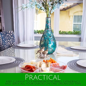 Plasticpro Sectional Serving Tray Pack of 2 for Entertaining