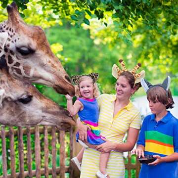 Jungle Animal Ears Headbands for Kids Fun Party Rentals