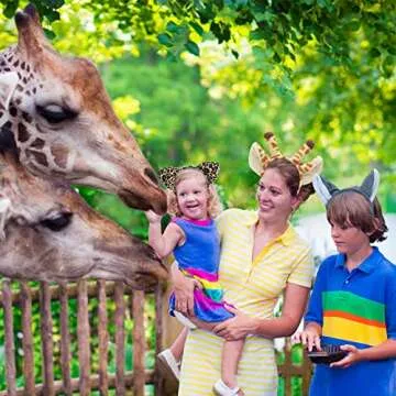 Jungle Animal Ears Headbands for Kids Fun Party Rentals