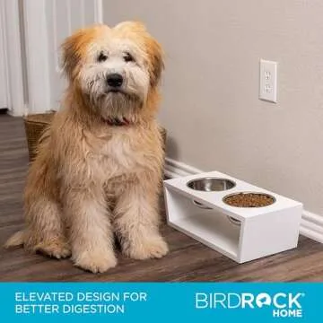 INTERNET'S BEST Modern Elevated Pet Feeder - Double Raised Stand w/Stainless Steel Bowls - Dog Food ...