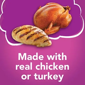 Purina Friskies Gravy Wet Cat Food Variety Pack 32 Cans