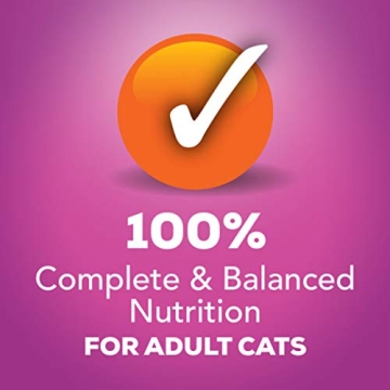 Purina Friskies Gravy Wet Cat Food Variety Pack 32 Cans