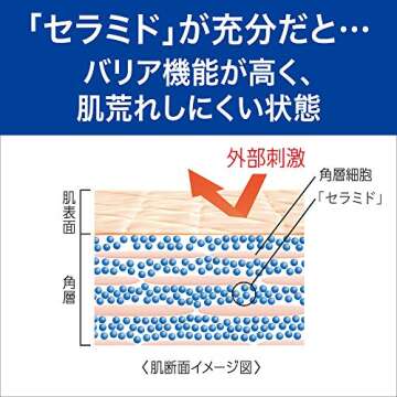 Curel Japan Kao Face Care | Moisture Lotion I Light 150ml