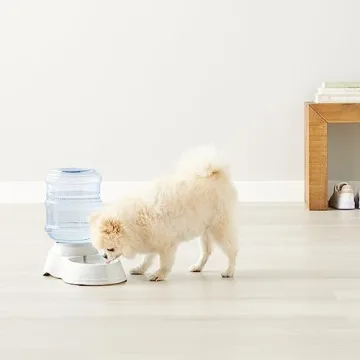 Gravity Pet Water Dispenser - 1 Gallon Capacity