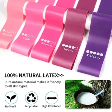 Shop Resistance Bands & Core Sliders Workout Set