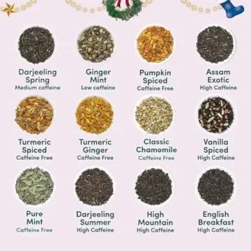 Assorted Christmas Tea Gift Set with 24 Flavors