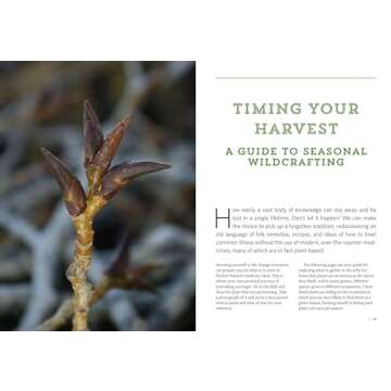 Mountain States Medicinal Plants: Identify, Harvest, and Use 100 Wild Herbs for Health and Wellness (Medicinal Plants Series)