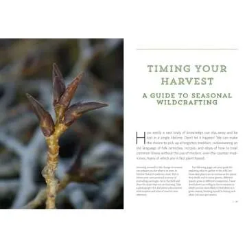 Mountain States Medicinal Plants: Identify, Harvest, and Use 100 Wild Herbs for Health and Wellness (Medicinal Plants Series)