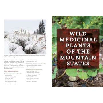 Mountain States Medicinal Plants: Identify, Harvest, and Use 100 Wild Herbs for Health and Wellness (Medicinal Plants Series)