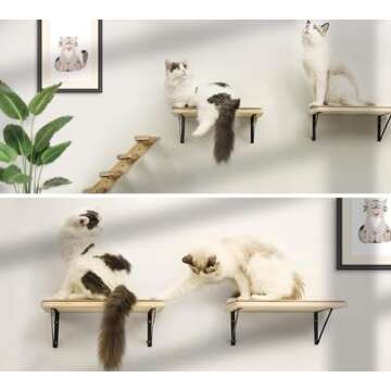 2PCS Cat Wall Shelves with Cat Scratching Mat, 16.6x9.7 Inch Large Cat Wall Hammock Cat Wall Furniture Cat Shelf Cat Window Perch Wall Mounted Beds for Sleeping, Playing, Climbing, Support to 30 LBS