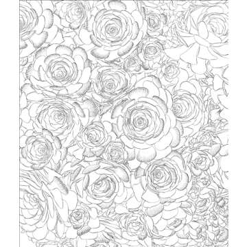 Sensational Succulents: An Adult Coloring Book of Amazing Shapes and Magical Patterns