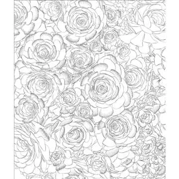 Sensational Succulents Adult Coloring Book for Relaxation