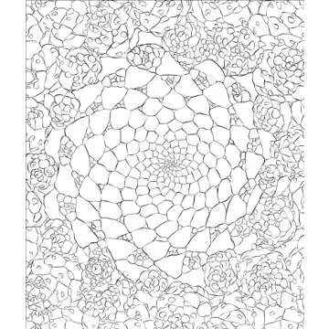 Sensational Succulents Adult Coloring Book for Relaxation