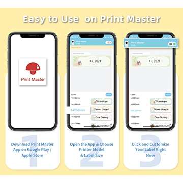 Phomemo D30 Transparent Labels for Home Office Crafts