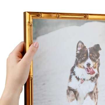 ArtToFrames 16x20 Inch Gold Picture Frame, This 0.75 Inch Custom Wood Poster Frame is .75 - Comes with Foam Backing 3/16 inch and Regular Acrylic (FBPLD8576-16x20)