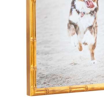ArtToFrames 16x20 Inch Gold Picture Frame, This 0.75 Inch Custom Wood Poster Frame is .75 - Comes with Foam Backing 3/16 inch and Regular Acrylic (FBPLD8576-16x20)