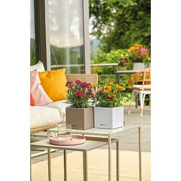 Lechuza Canto Stone 14 Self-Watering Planter 5.5" x 5.5"