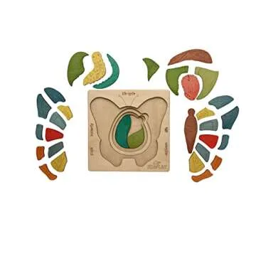 Life Cycle of A Butterfly | 31 Piece Wooden Multilayered Jigsaw Puzzles for Kids | Educational Toy and Gift for Boys & Girls 3 Years and Above