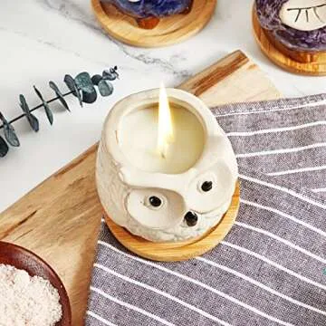 Kinforse Scented Candles Gifts for Women, Birthday Presents for Women,Owl Gifts for Women Sweet Orange Candle, Best Friend Unique Happy Birthday Bath Candle Set Gift Ideas