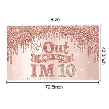 Large 10 Years Old Birthday Banner Decorations for Girls