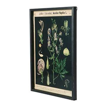 Creative Co-Op Framed Botanical Wall Decor Set of 2