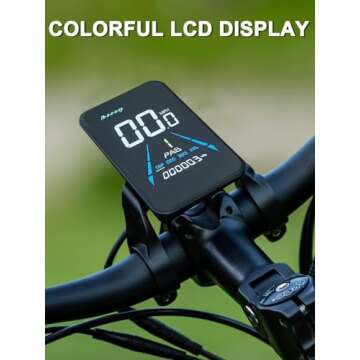 HAOQI Leopard Pro Electric Bike up to 28MPH and 80Miles