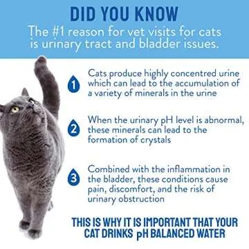 CATWATER by VETWATER | ph-Balanced and Mineral-Free Cat Water | Clinically Proven Urinary Formula | Helps Prevent Cat Urinary Issues, FLUTD| 16.9 oz, 12-Pack