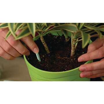Miracle-Gro Indoor Plant Food Spikes for Vibrant Houseplants