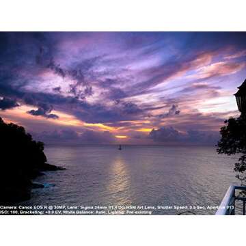 Sigma 24mm F/1.4 DG HSM Art Lens for Sony E (401965)