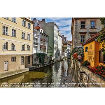 Sigma 24mm F/1.4 DG HSM Art Lens for Sony E (401965)