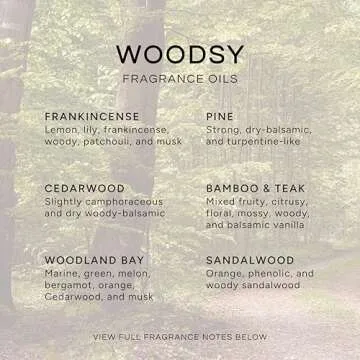 Eternal Essence Oils Woodsy Premium Fragrance Oils Set - 6 Pack of Clean Pine, Cedar, and More
