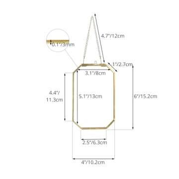 NCYP 4" x 6" Small Glass Floating Frame with Chain for Artwork Photo, Picture, Pressed Dried Flowers, Plant Specimen - Home Wall Hanging Decor, Octagon, Gold, Handmade (Glass Frame Only)
