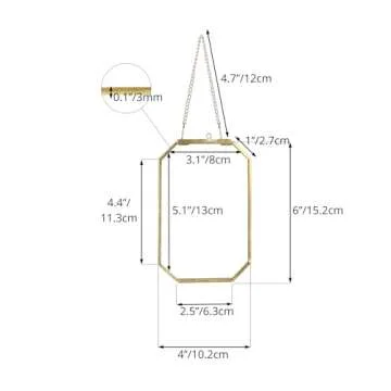 NCYP 4" x 6" Small Glass Floating Frame with Chain for Artwork Photo, Picture, Pressed Dried Flowers, Plant Specimen - Home Wall Hanging Decor, Octagon, Gold, Handmade (Glass Frame Only)