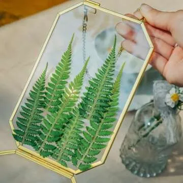 NCYP 4" x 6" Small Glass Floating Frame with Chain for Artwork Photo, Picture, Pressed Dried Flowers, Plant Specimen - Home Wall Hanging Decor, Octagon, Gold, Handmade (Glass Frame Only)