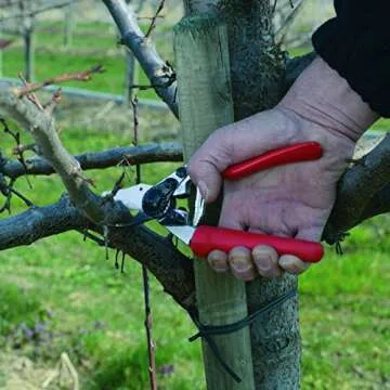 High Performance Felco Pruning Shears F 6 for Gardeners
