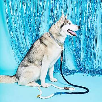 Found My Animal - Teal Ombre Cotton Rope Dog Leash, (Medium) - Heavy Duty Dog Training Leash - Adjus...