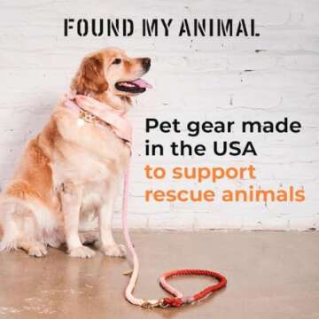 Found My Animal Teal Ombre Cotton Dog Leash - Heavy Duty