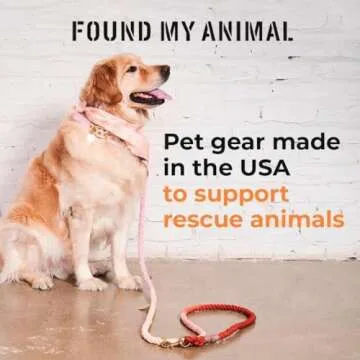 Found My Animal Teal Ombre Cotton Dog Leash - Heavy Duty